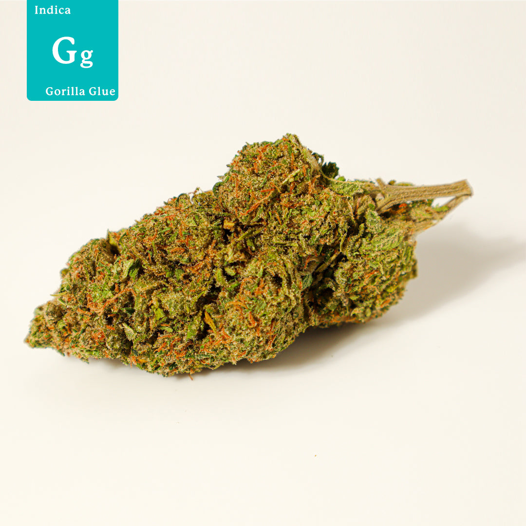 Gorilla Glue CBD Flower UK