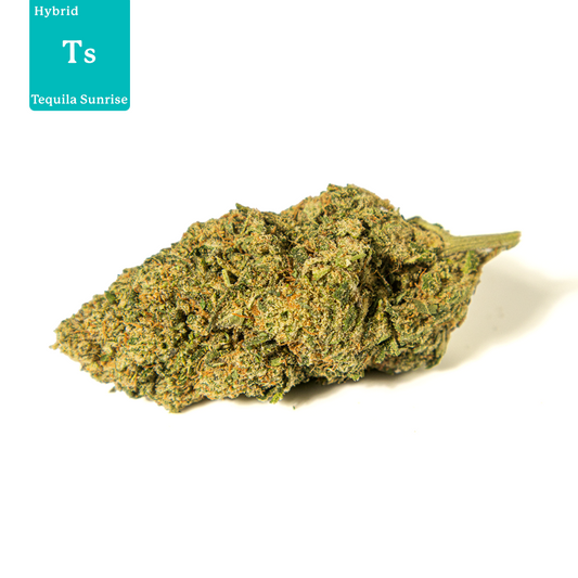 Tequila Sunrise CBD Flower UK - 17% CBD