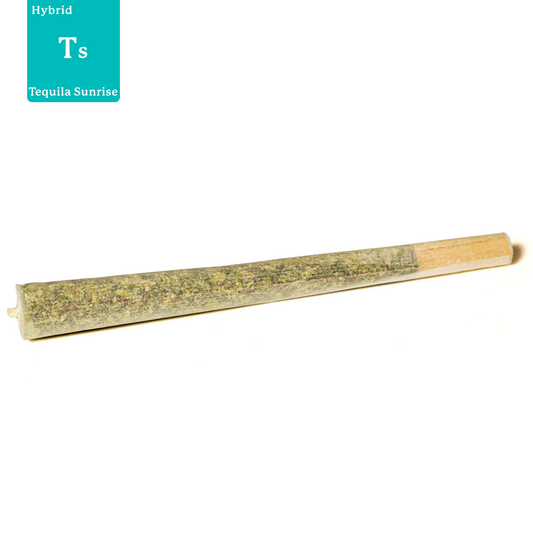 Tequila Sunrise CBD Flower Pre Roll UK